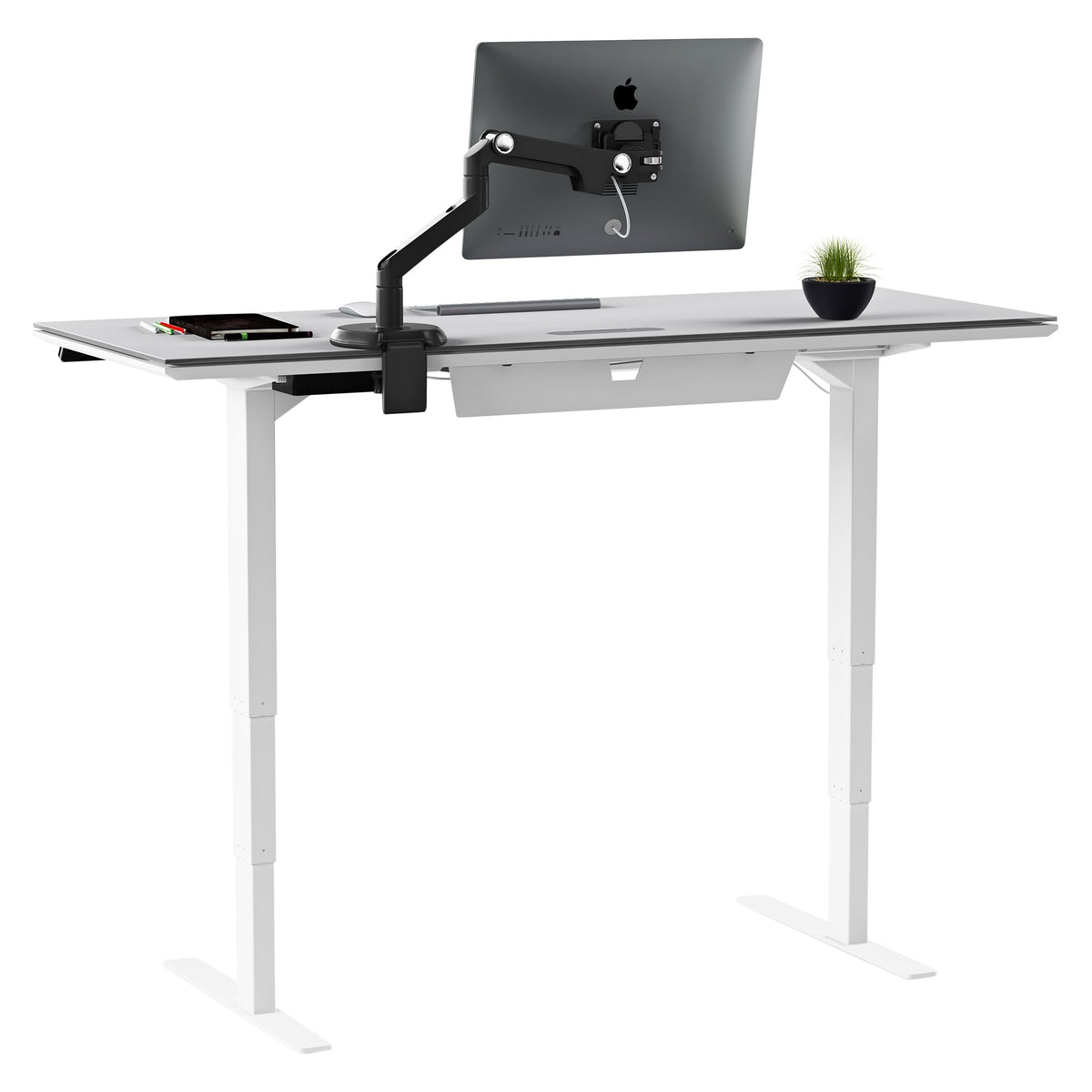 BDi Centro Sit+Stand Desk in Satin White on Oak with Grey Glass, on white, 24" x 60" Top size