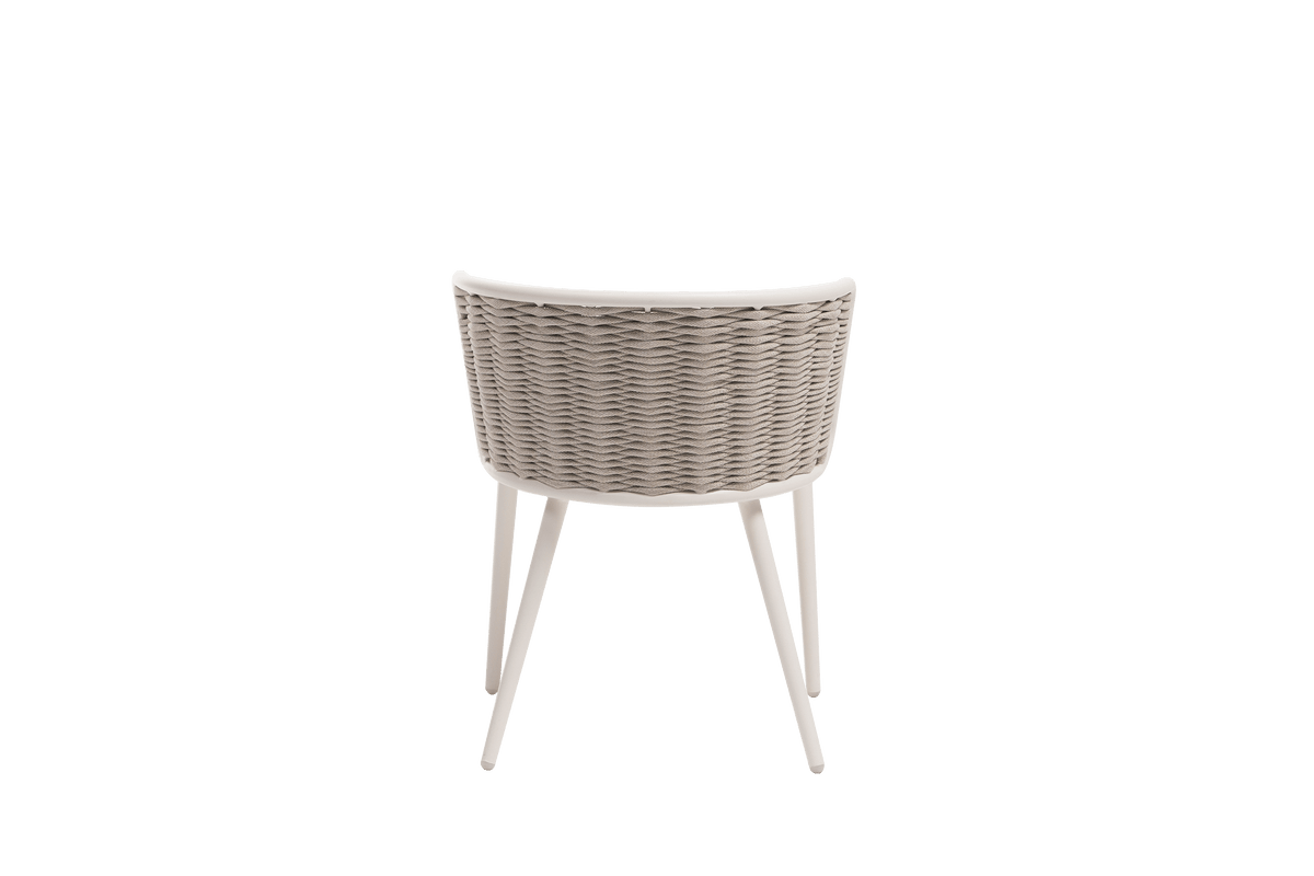 Diva Side Chair