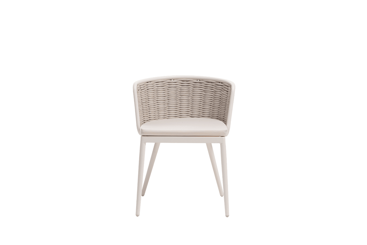 Diva Side Chair