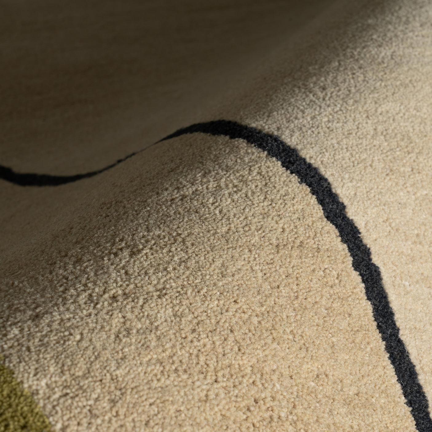 Nate Berkus Serge Bordered Wool Cozy Area Rug