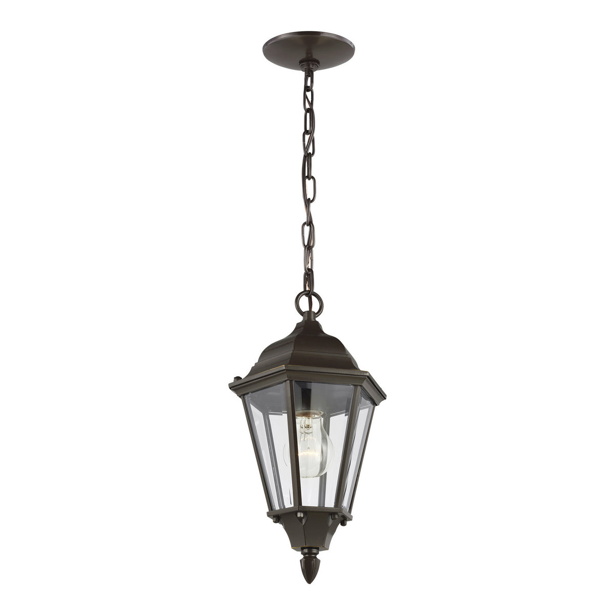 Bakersville Flat 14.5" Hanging Lantern — Clear Beveled