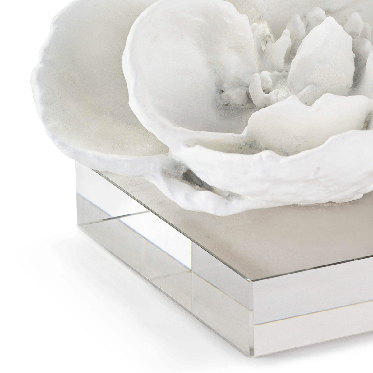 Magnolia Objet