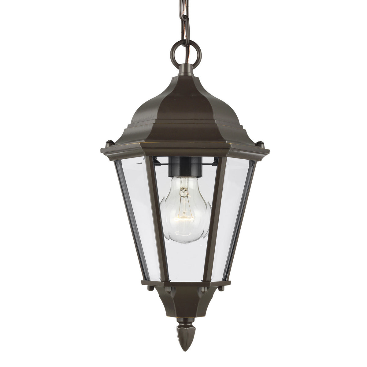 Bakersville Flat 14.5" Hanging Lantern — Clear Beveled