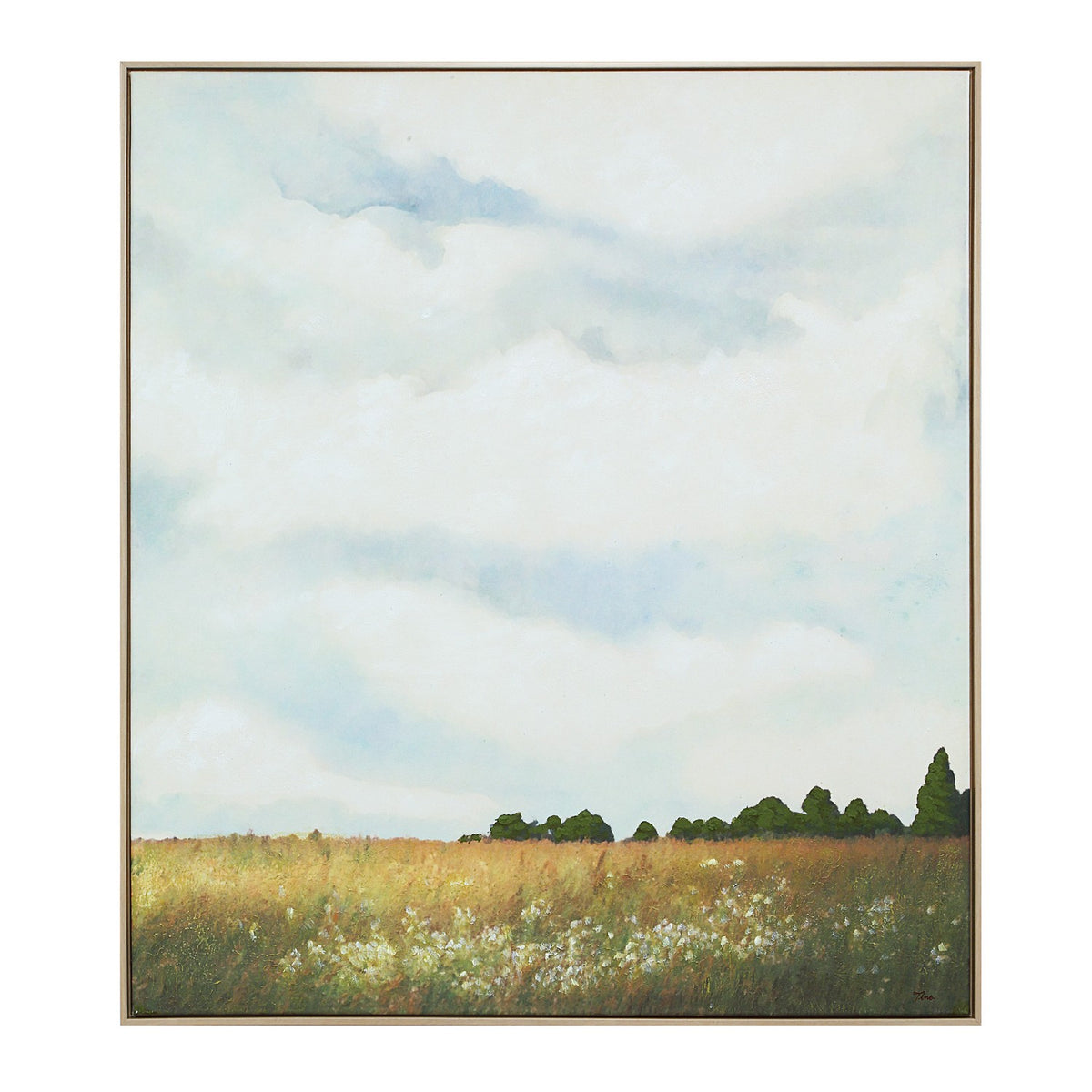 Lasso Canvas Art