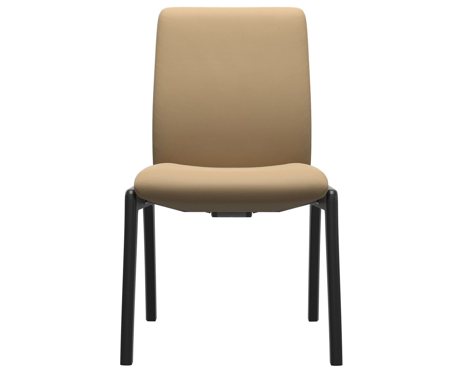 Laurel | Low Back Dining Chair with D100 Vertical Legs