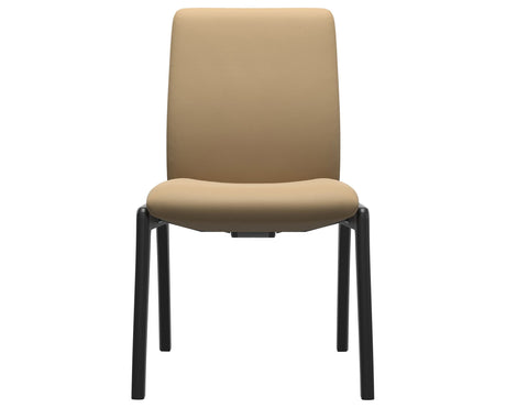 Laurel | Low Back Dining Chair with D100 Vertical Legs