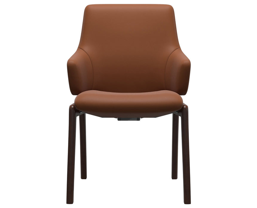 Laurel | Low Back Dining Chair with D100 Vertical Legs with Arms