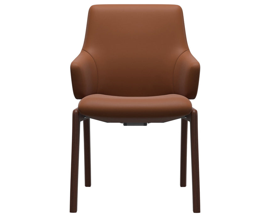 Laurel | Low Back Dining Chair with D100 Vertical Legs with Arms