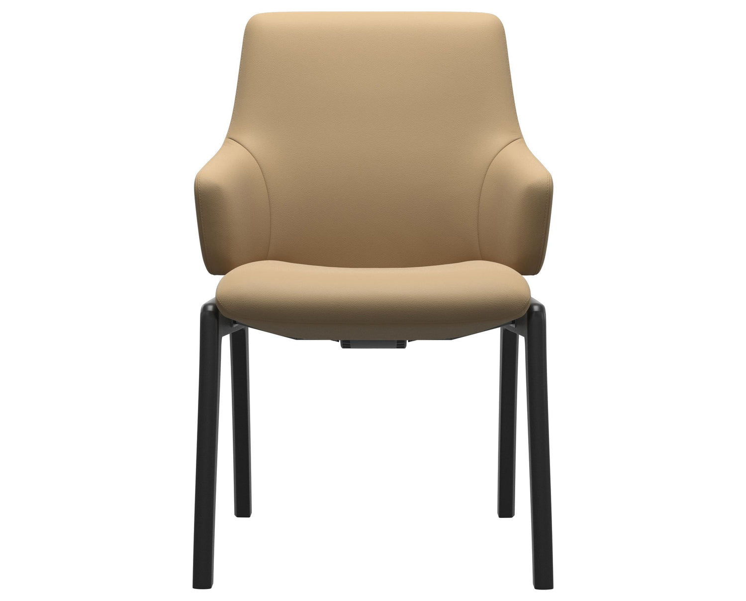 Laurel | Low Back Dining Chair with D100 Vertical Legs with Arms