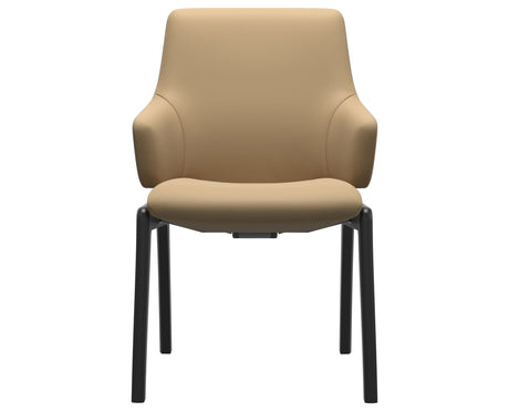 Laurel | Low Back Dining Chair with D100 Vertical Legs with Arms