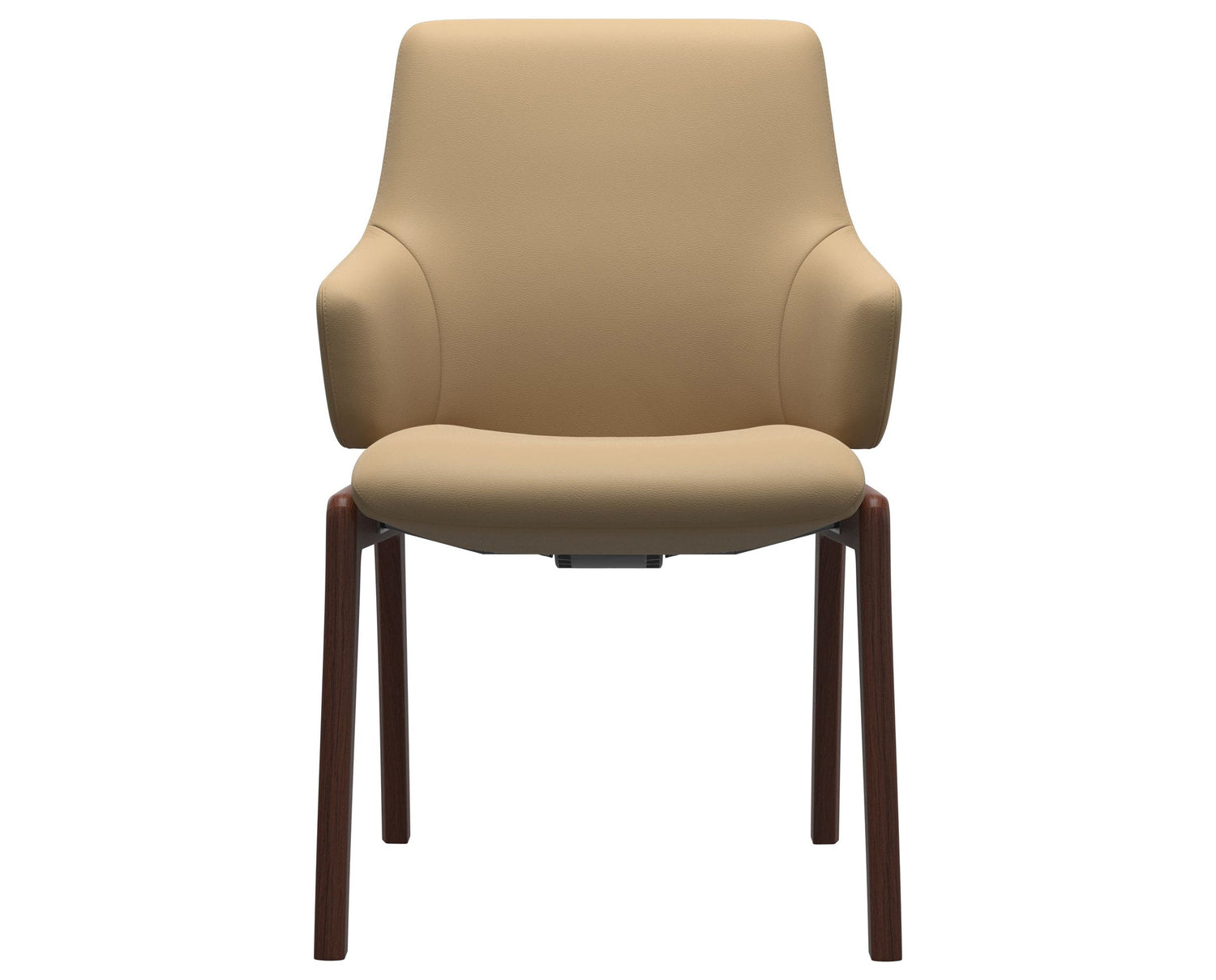 Laurel | Low Back Dining Chair with D100 Vertical Legs with Arms