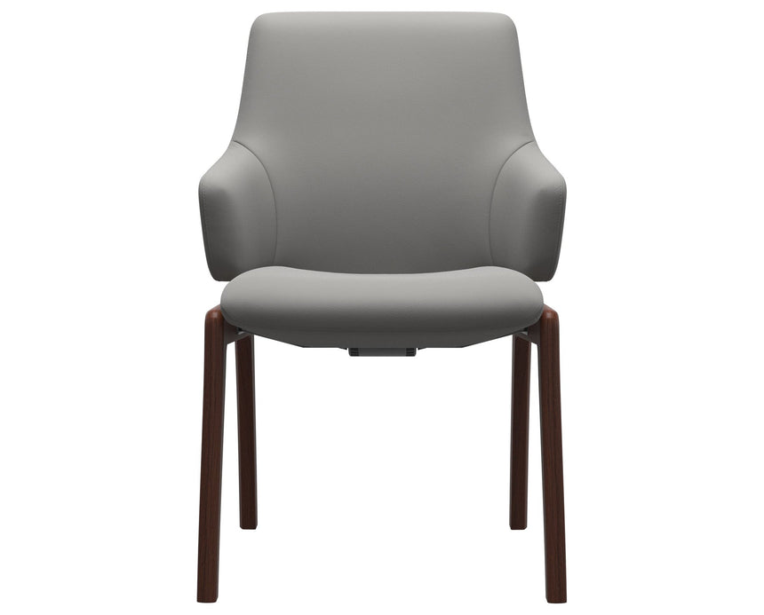 Laurel | Low Back Dining Chair with D100 Vertical Legs with Arms