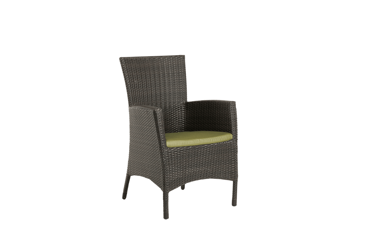 Palm Harbor Dining Arm Chair