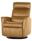Trend Leather Nature | Norwegian Comfort Paradise Recliner | Valley Ridge Furniture