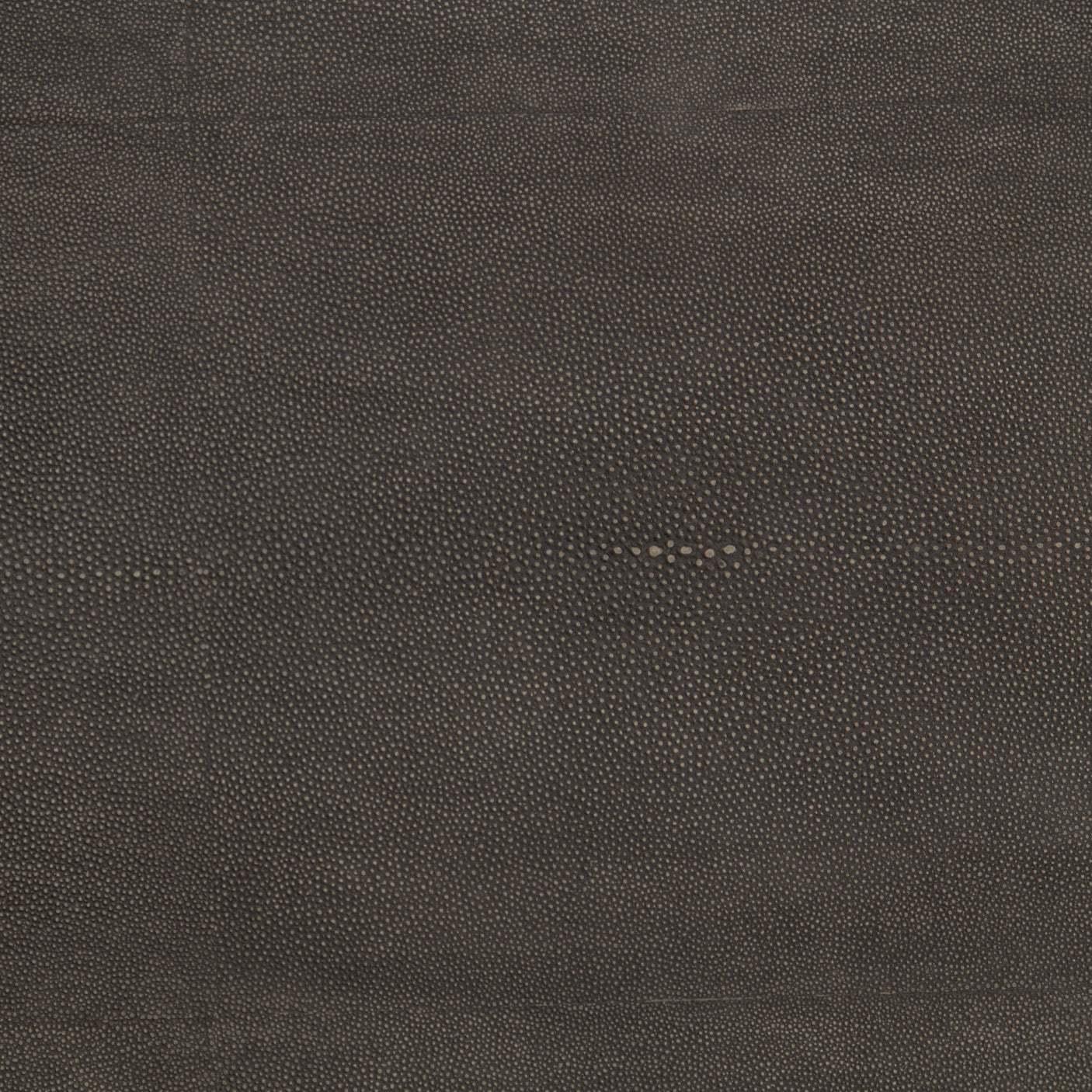 Grey Shagreen & Antique Brass | Shagreen Shadow Box Coffee Table | Valley Ridge Furniture