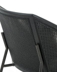 Orly Natural Fabric & Ebony Cane Rattan with Brushed Ebony Parawood & Gunmetal Iron | Wylde Chair | Valley Ridge Furniture