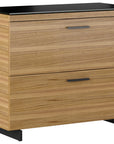 Natural Walnut Veneer and Black Satin-Etched Glass with Black Steel | BDI Sequel Lateral File Cabinet | Valley Ridge Furniture