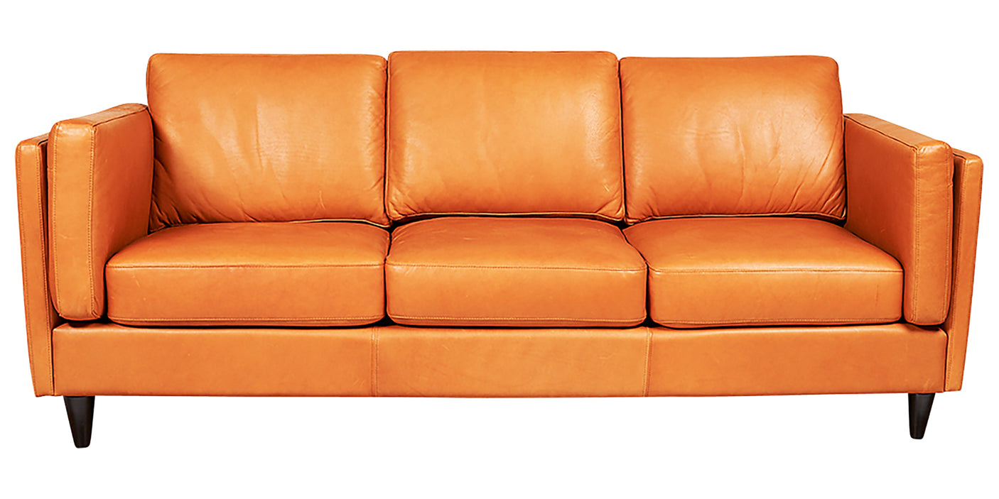 Sofa as Shown | Divani Tessa Sofa | Valley Ridge Furniture