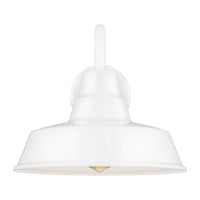 Barn Light Medium Wall Lantern