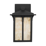 Tomek 1-Light Small Wall Lantern — Champagne