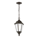 Bakersville Flat 14.5" Hanging Lantern — Clear Beveled