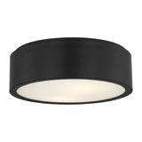 Albee Two Light Flush Mount