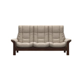 Windsor - Paloma Mushroom - Brown
