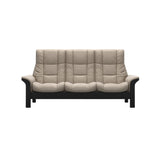 Windsor - Paloma Mushroom - Black