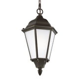 Bakersville Flat 14.5" Hanging Lantern — Clear Beveled