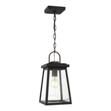 One Light Outdoor Pendant — 14.25", 9 W