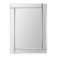 Adan Mirror