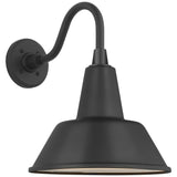 Academy 11" Flynn Barn Light