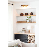 Devon Two Light Picture Light — 17.5"