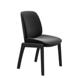 Bay Low Back Dining Chair - Paloma Black - Black - Armless