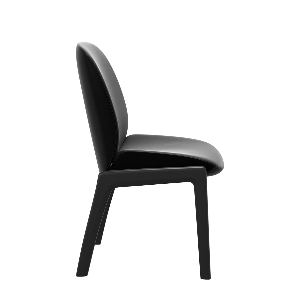 Bay Low Back Dining Chair - Paloma Black - Black - Armless