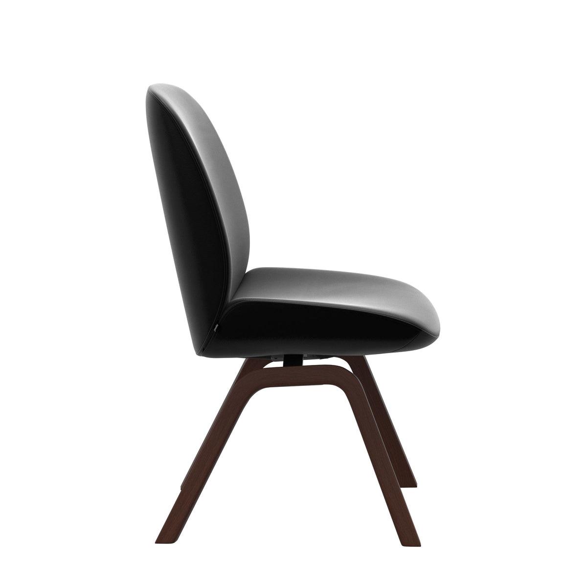 Bay Low Back Dining Chair - Paloma Black - Walnut - Armless