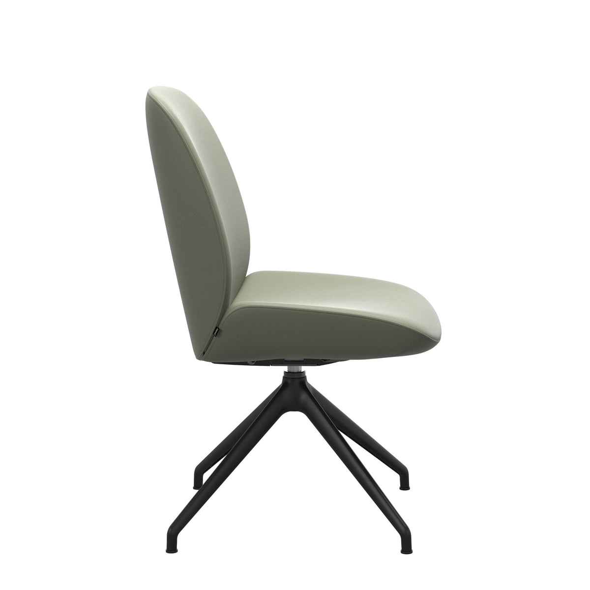 Bay Low Back Dining Chair - Paloma Shadow Green - Matte Black - Armless