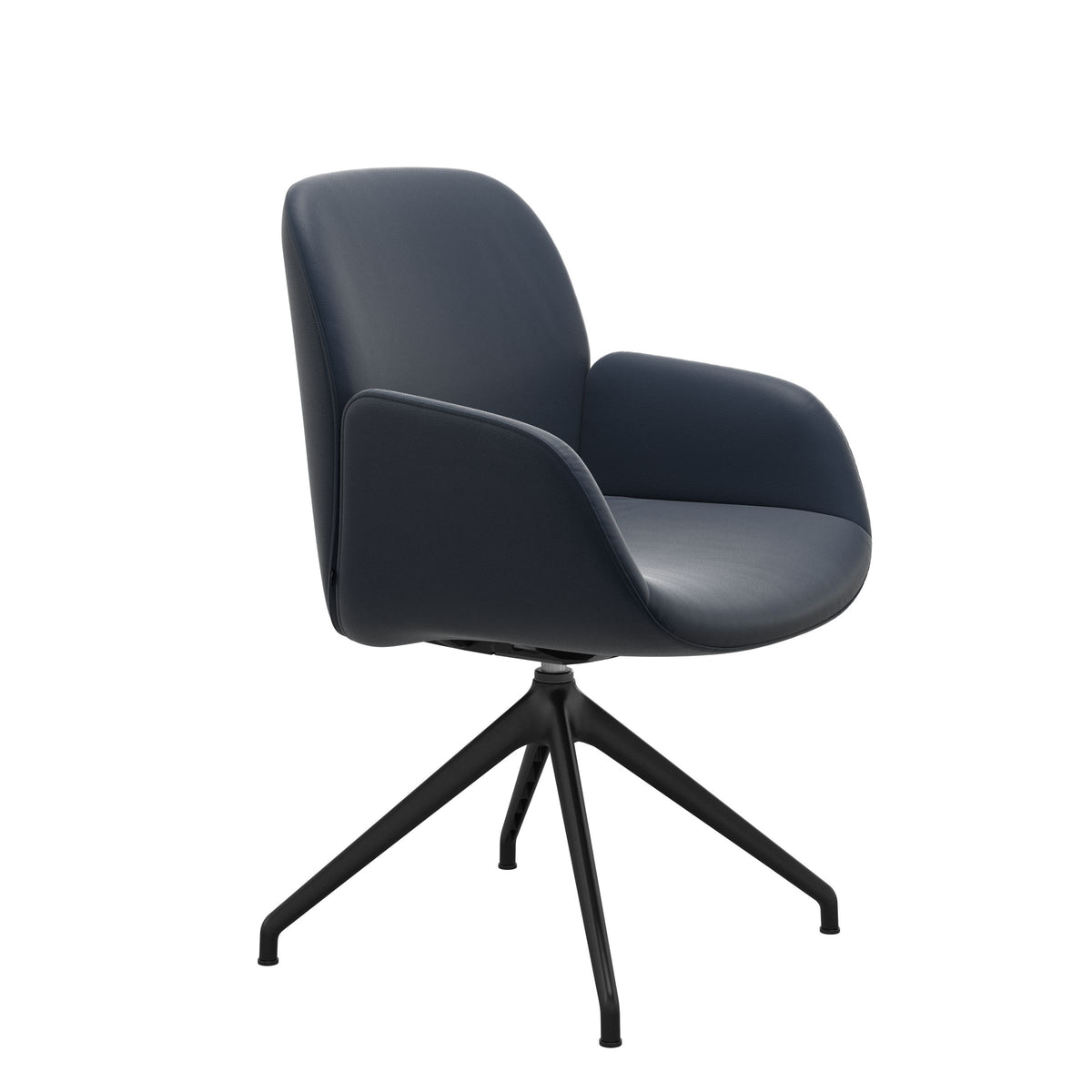 Bay Low Back Dining Chair - Paloma Oxford Blue - Matte Black - Armchair