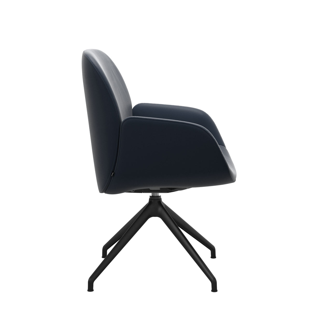 Bay Low Back Dining Chair - Paloma Oxford Blue - Matte Black - Armchair