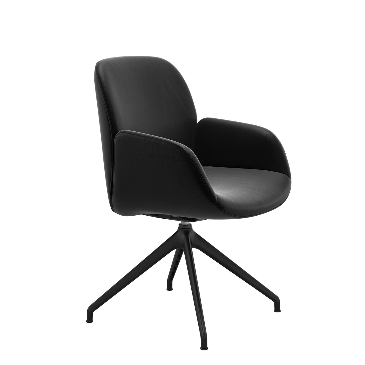Bay Low Back Dining Chair - Paloma Black - Matte Black - Armchair