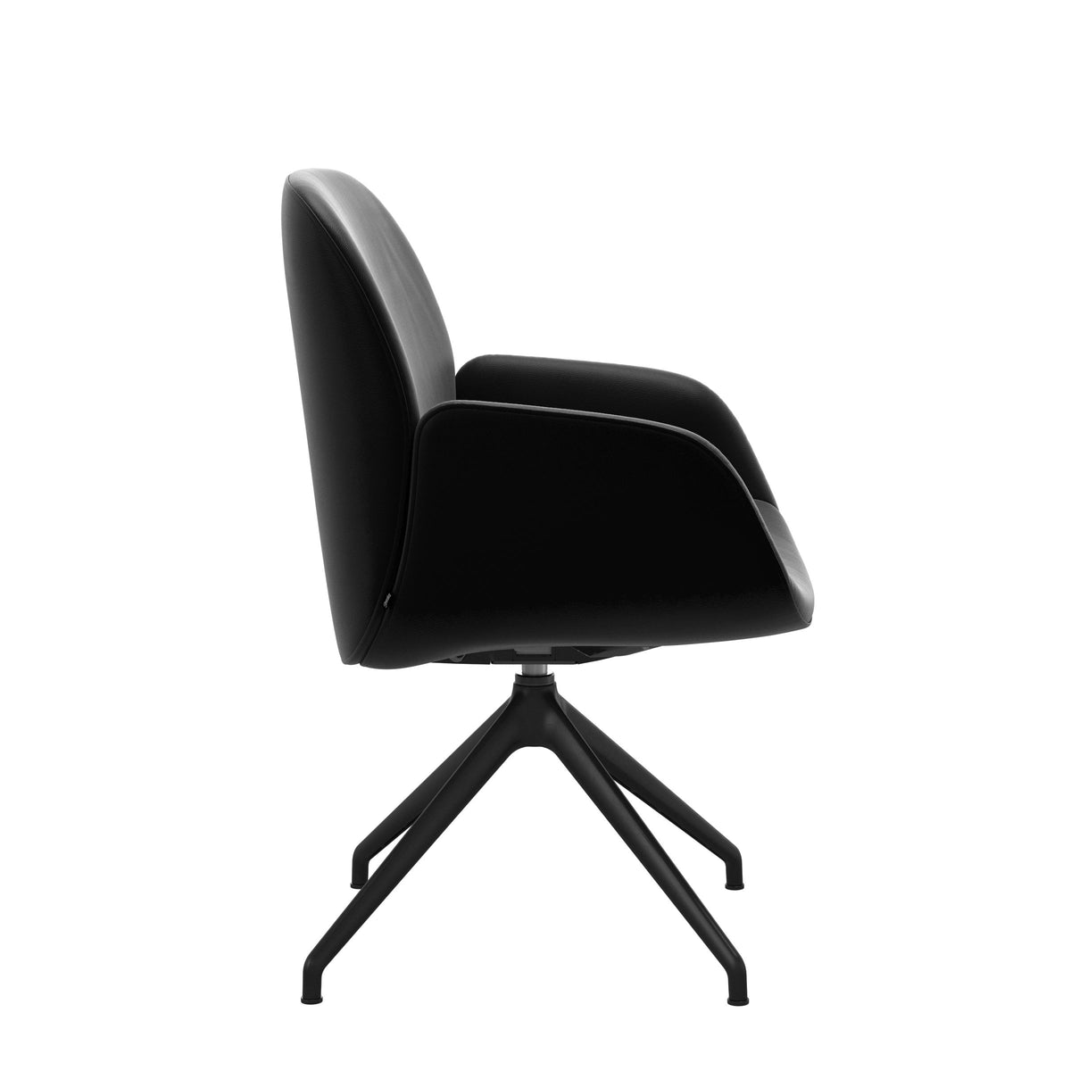 Bay Low Back Dining Chair - Paloma Black - Matte Black - Armchair