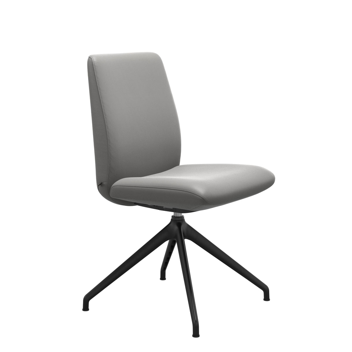 Laurel LB D350 - Paloma Silver Grey - Matte Black - Armless