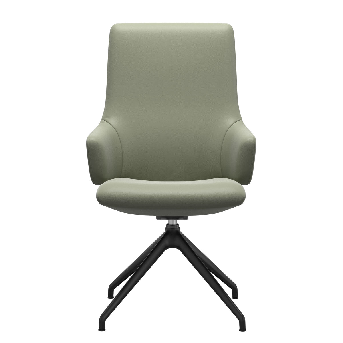 Laurel HB D350 - Paloma Shadow Green - Matte Black - Armchair