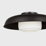 Liora 20" Flush Mount