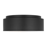 Dartmore Medium Flush Mount