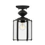 One Light Outdoor Semi-Flush Convertible Pendant