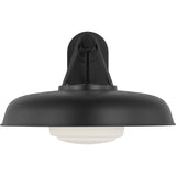 Liora 15" Wall Lantern