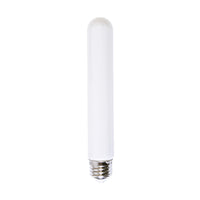 Lille Light Bulb