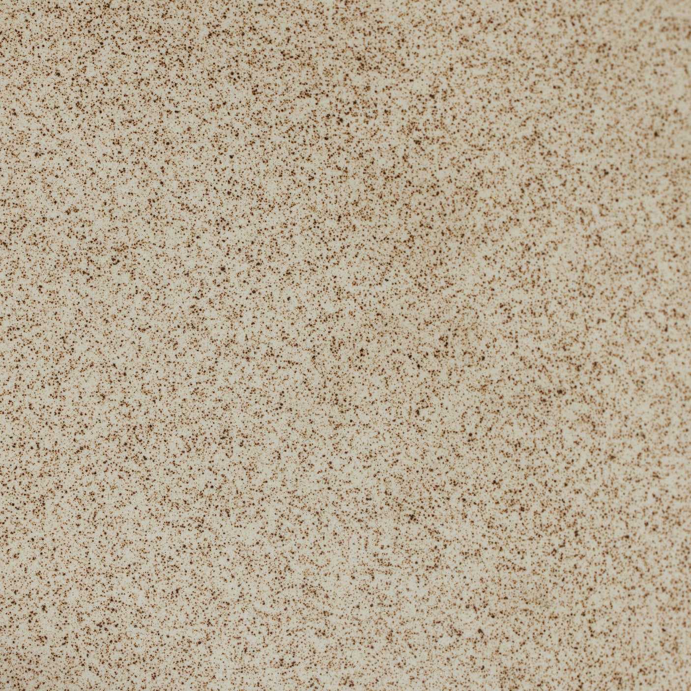 Organic Ceramic Sconce