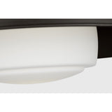 Liora 20" Flush Mount